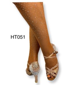 Alternative view of HT051L